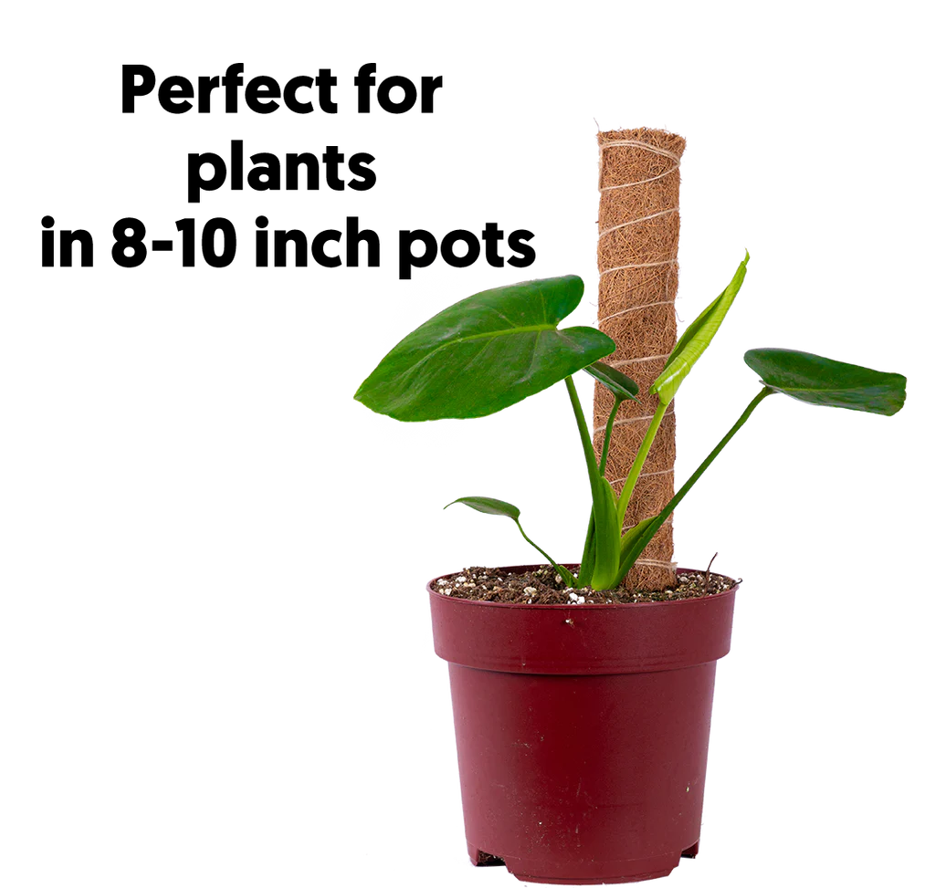 Coco Coir Pole for 8-10 inch pots