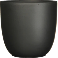 Boule (28cm | Fits 10 inch)