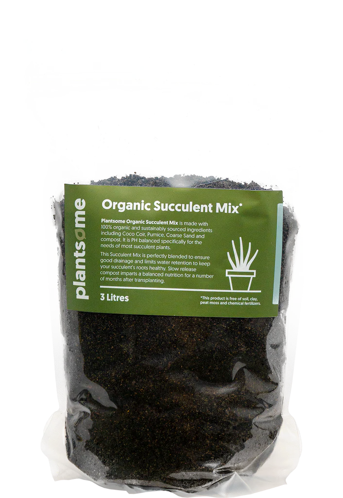 Organic Succulent Mix 3L